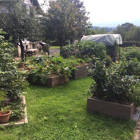 Apartma Nomad 新梅斯托 外观 照片