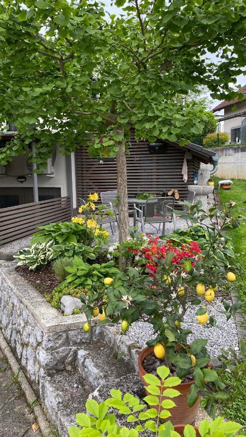 Apartma Nomad 新梅斯托 外观 照片