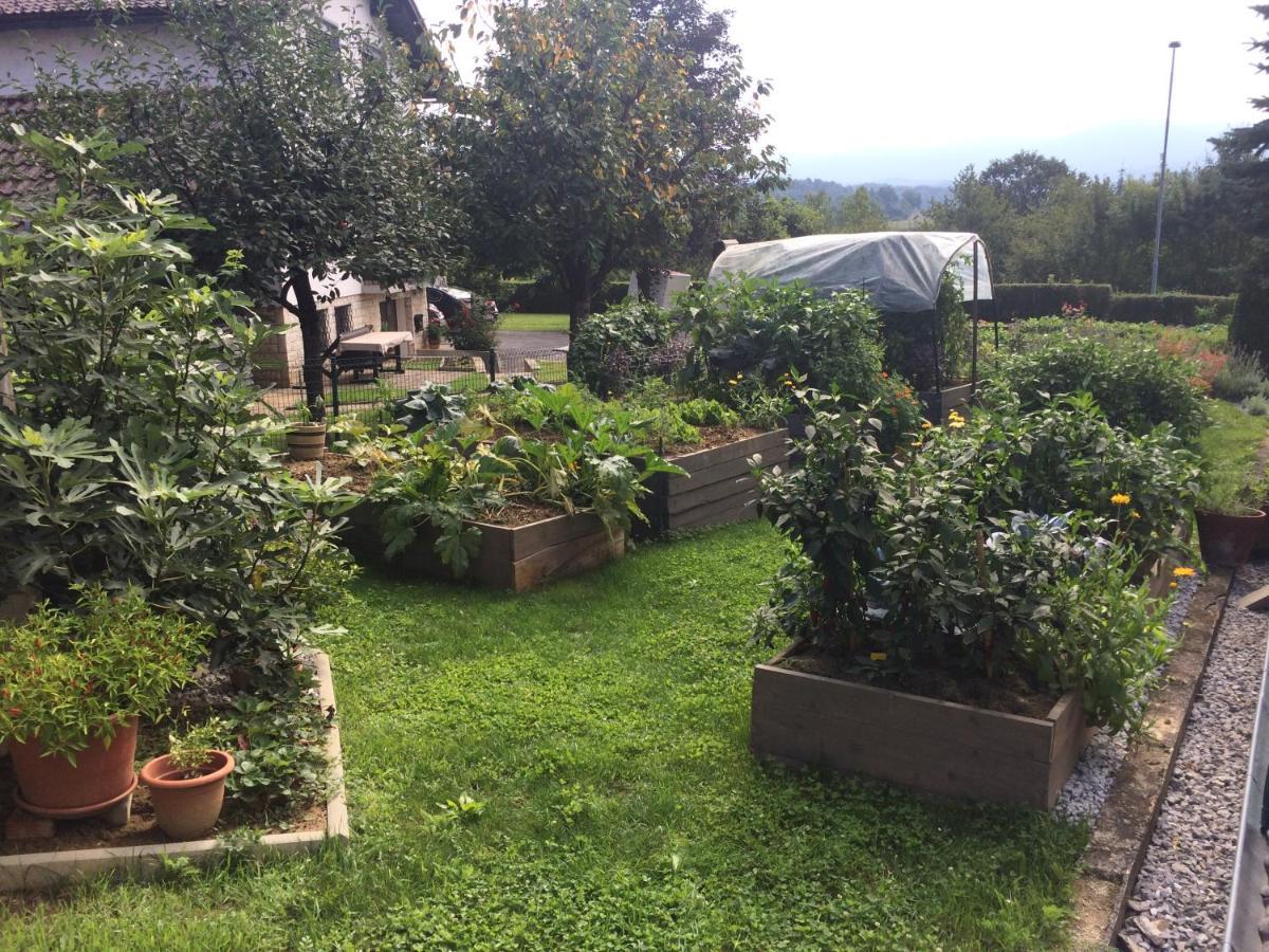 Apartma Nomad 新梅斯托 外观 照片